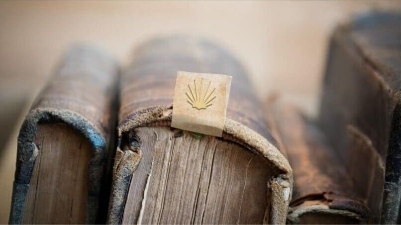 Articolo libro paulo coelho il cammino di santiago