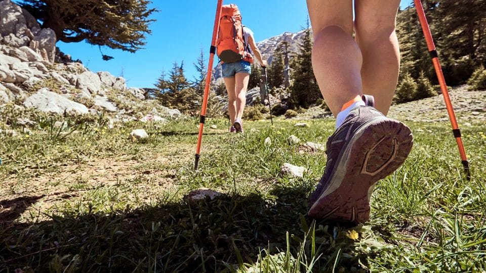 Due ragazze camminano su un prato