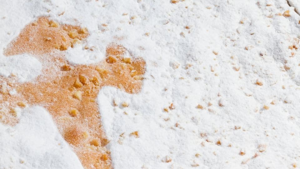 Particolare della torta di santiago