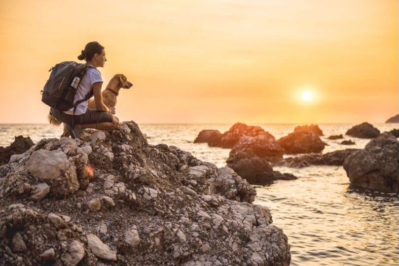 Ragazza al mare con il cane guarda il tramonto