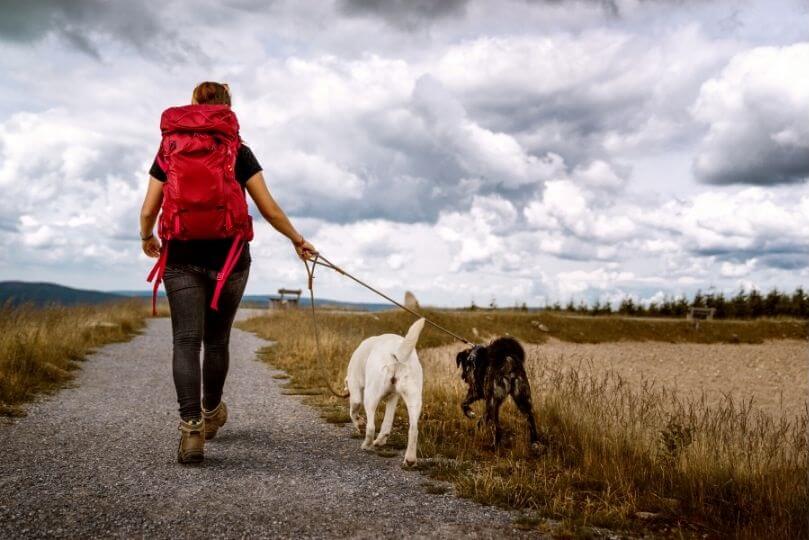 Ragazza con lo zaino e i suoi due cani
