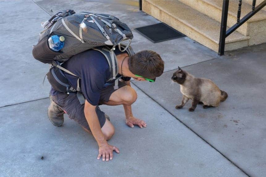 Sul cammino di santiago i pericoli sono limitati un ragazzo accarezza un gatto