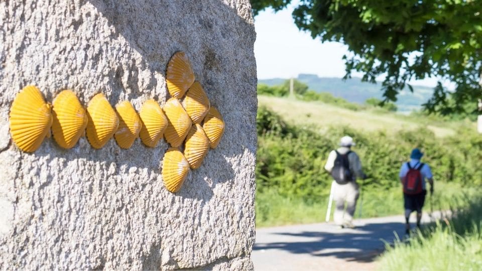 Una freccia gialla fatta di conchiglie