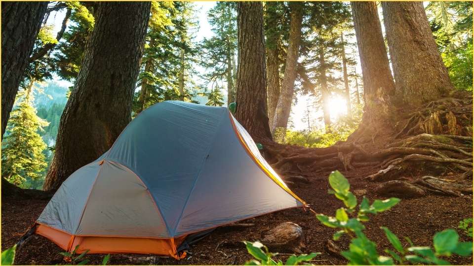 una tenda in un bosco