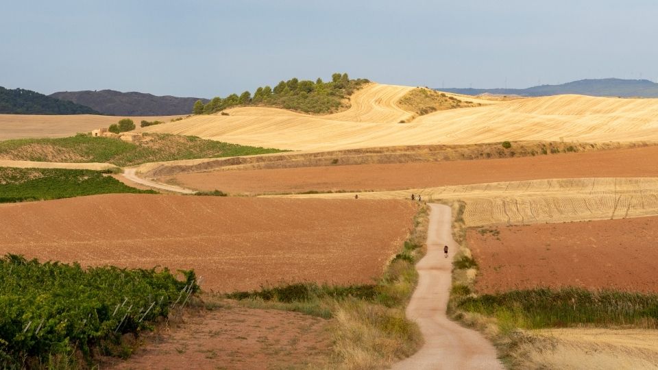 documentario Cammino di Santiago parla dei pellegrini in cammino