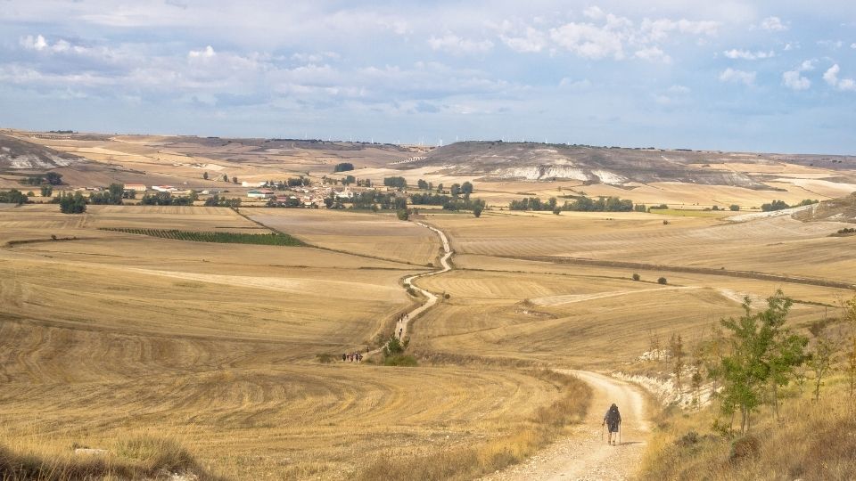pellegrino in cammino tra i campi di grano