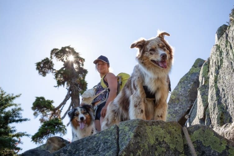 pellegrina fa il Cammino di Santiago con i cani