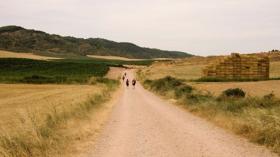 lunghi cammini tra i campi