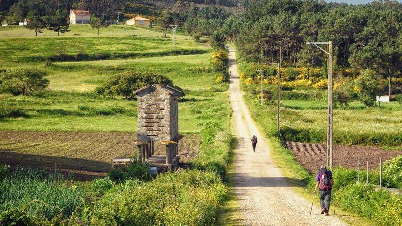 una strada lungo il Cammino di Santiago con pellegrini